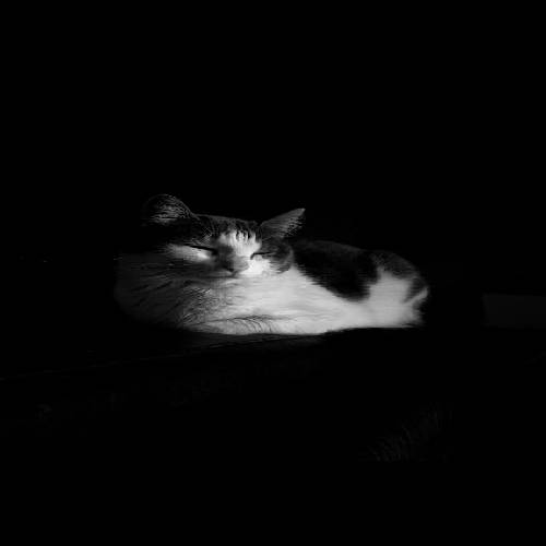 آیدا شاه قاسمی به سوی تو 